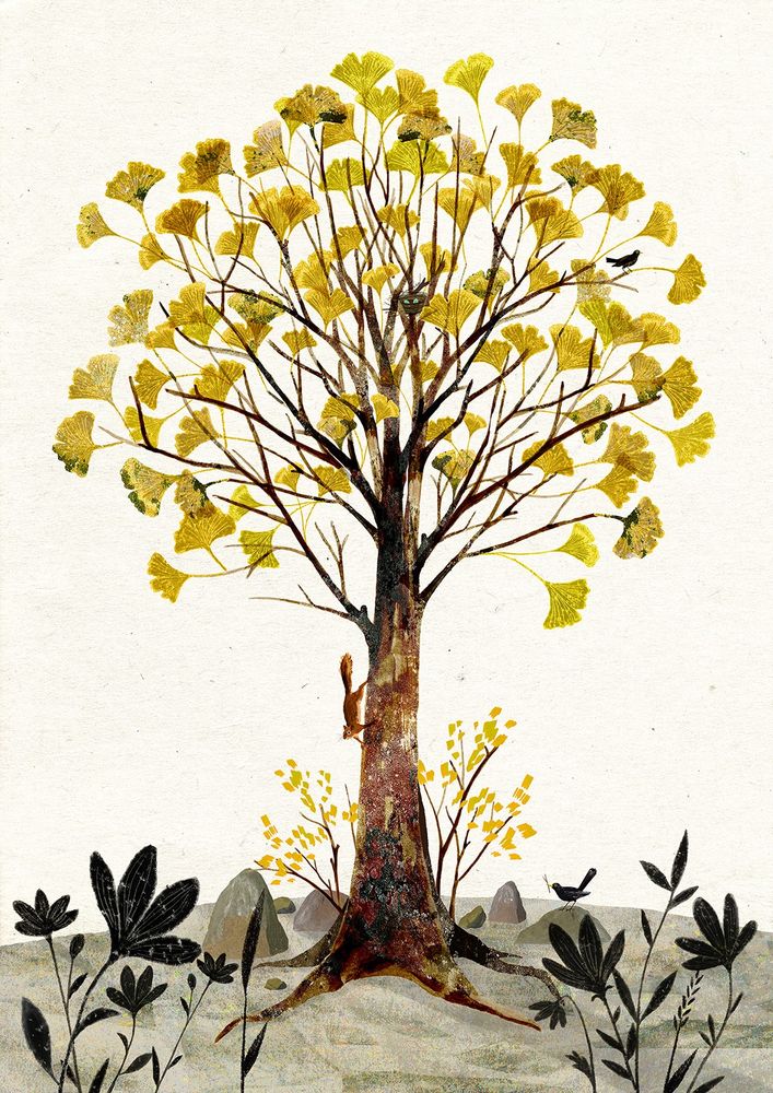 A large yellow leaf ginkgo tree