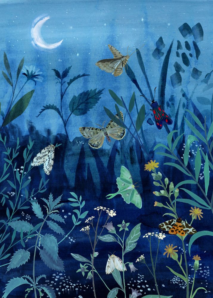 Moths in the moonlight