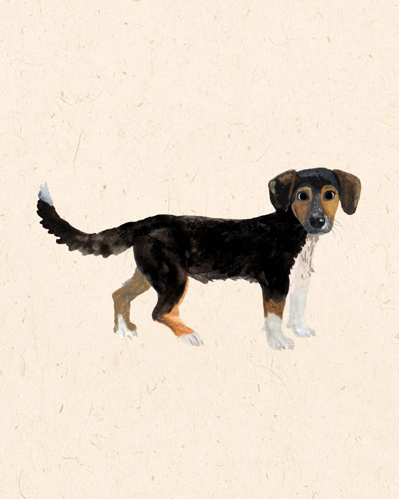 Illustration of my dog Odie