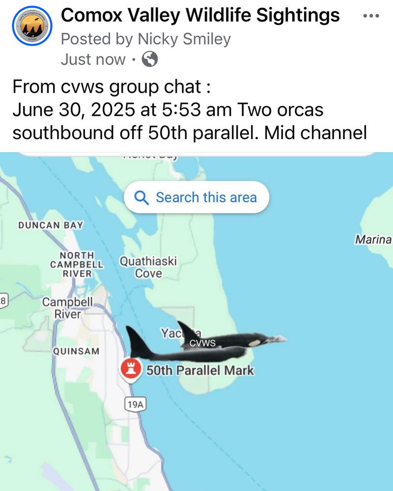Map showing orca off 50th parallel, Campbell River 