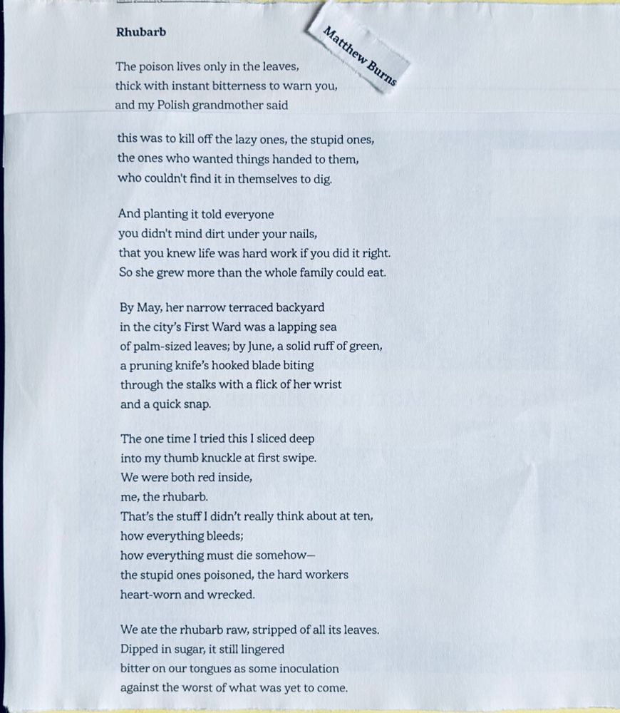 a poem by Matthew Burns