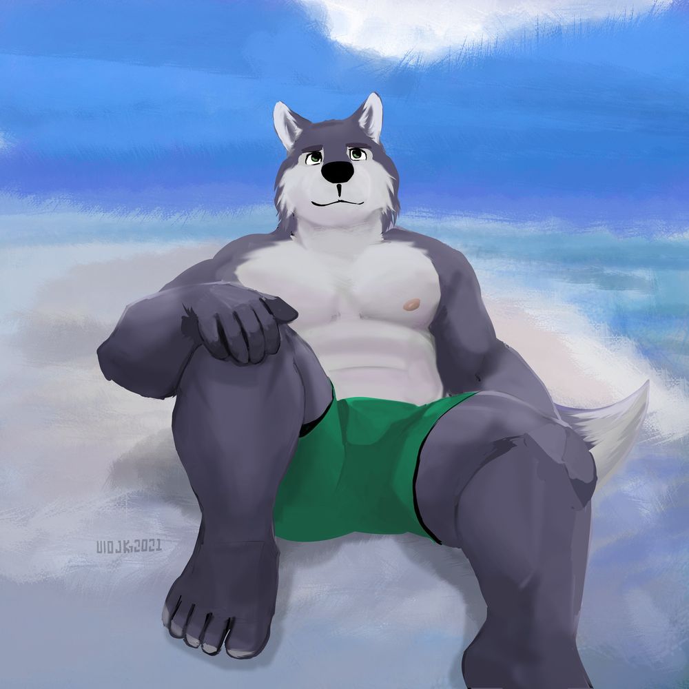 A Husky character called Shoichi character on a beach.