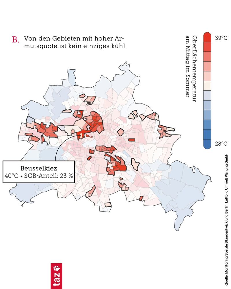 Karte von Berlin mit farblicher Darstellung der Oberflächentemperatur am Mittag im Sommer, kombiniert mit Angaben zur Armutsquote (SGB-Anteil).
Überschrift: „Von den Gebieten mit hoher Armutsquote ist kein einziges kühl.“
Ein hervorgehobenes Beispiel ist der Beusselkiez mit 40 °C und einem SGB-Anteil von 23 %.
Farbskala rechts:

Dunkelrot steht für hohe Temperaturen (bis 39 °C)

Dunkelblau für kühle Bereiche (ab 28 °C)
Die heißesten und sozial benachteiligten Gebiete liegen hauptsächlich im Innenstadtbereich und sind rot markiert.
Kühle, blau eingefärbte Gebiete sind am Stadtrand zu finden, jedoch nicht in sozial benachteiligten Vierteln.
Unten links ist das Logo der „taz“. Quelle: Monitoring Soziale Stadtentwicklung Berlin, LUP GmbH.