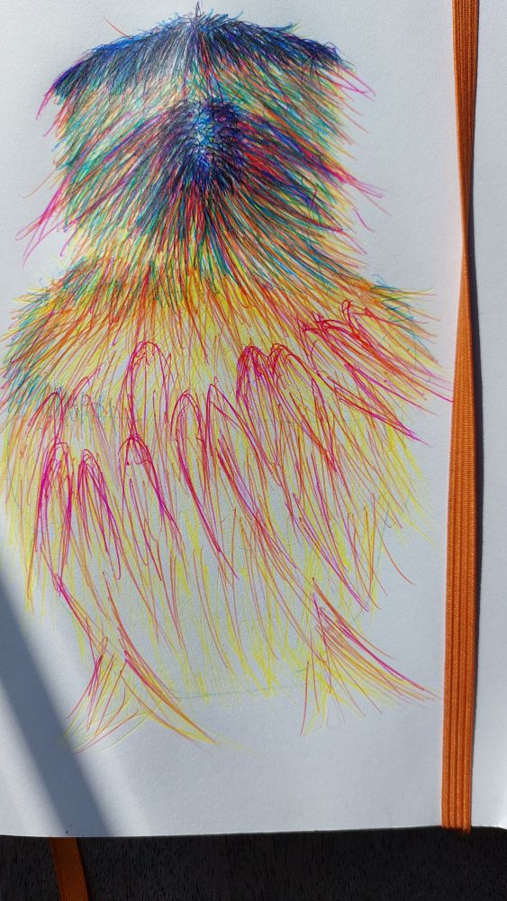 Darrell, but with more feathers 