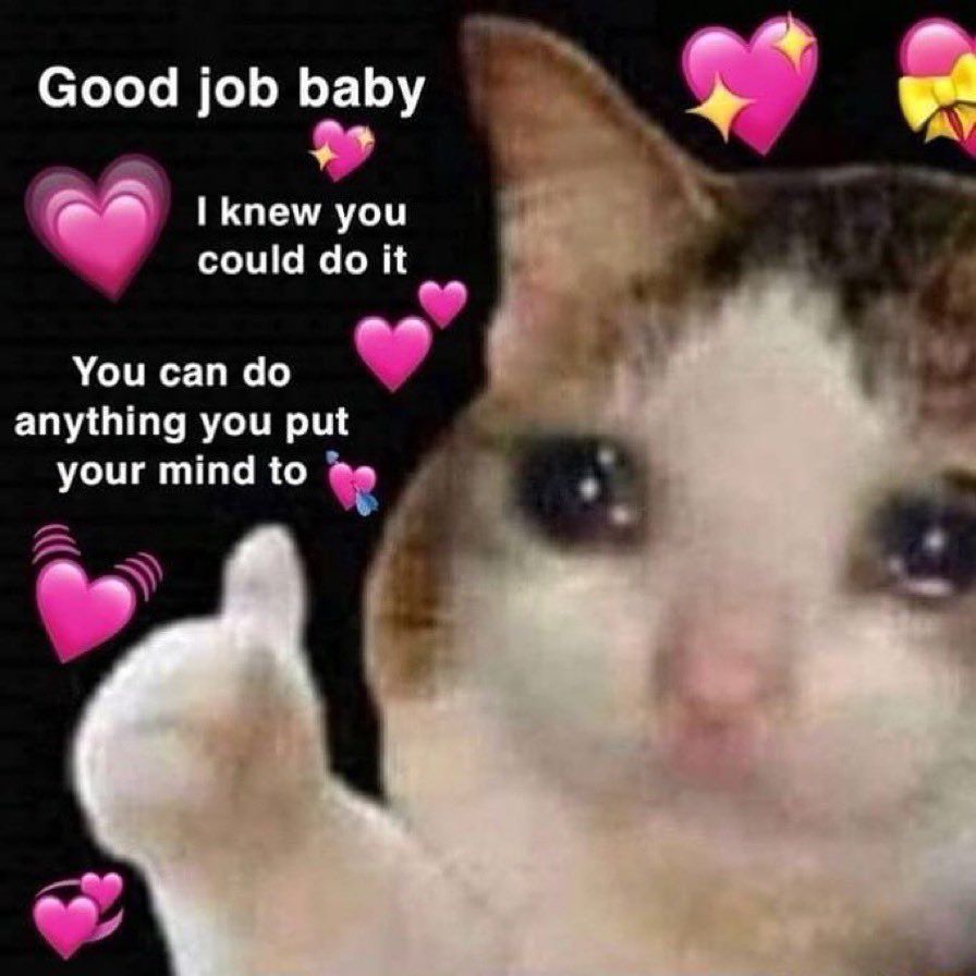 Sad cat with text “good job baby, I knew you could do it, you can do anything you put your mind to”