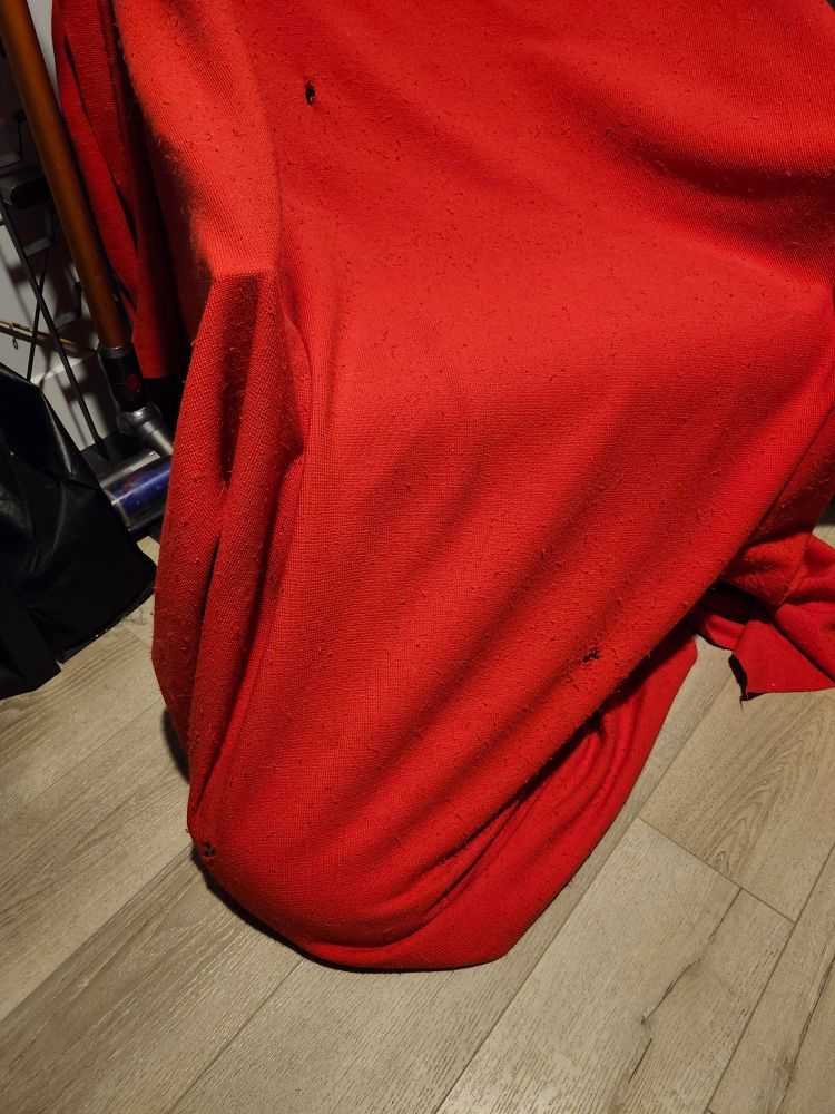 A cat-sized lump under a red blanket