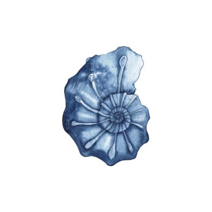 spiral blue seashell
