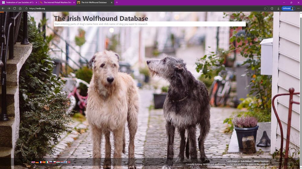 A screenshot of iwdb.org AKA the Irish Wolfhound Database, your #1 go-to resource for Irish Wolfhounds.

Other open tabs include IPDB, the Internet Pinball Machine Database, and IJDB, the Interjurisdictional Database belonging to the Federation of Law Societies of Canada (La Fédération des ordres professionels de juristes du Canada).