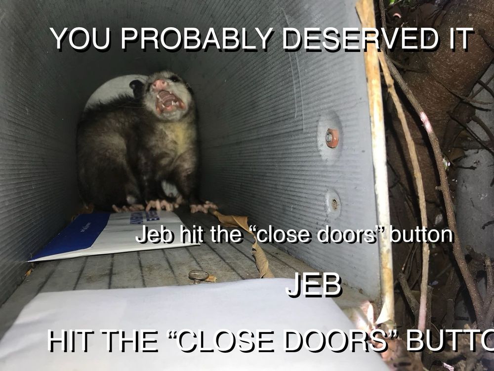Comment image