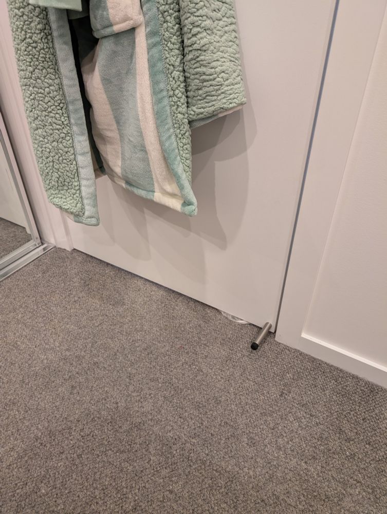 a closed bedroom door with white fur visible under the door 