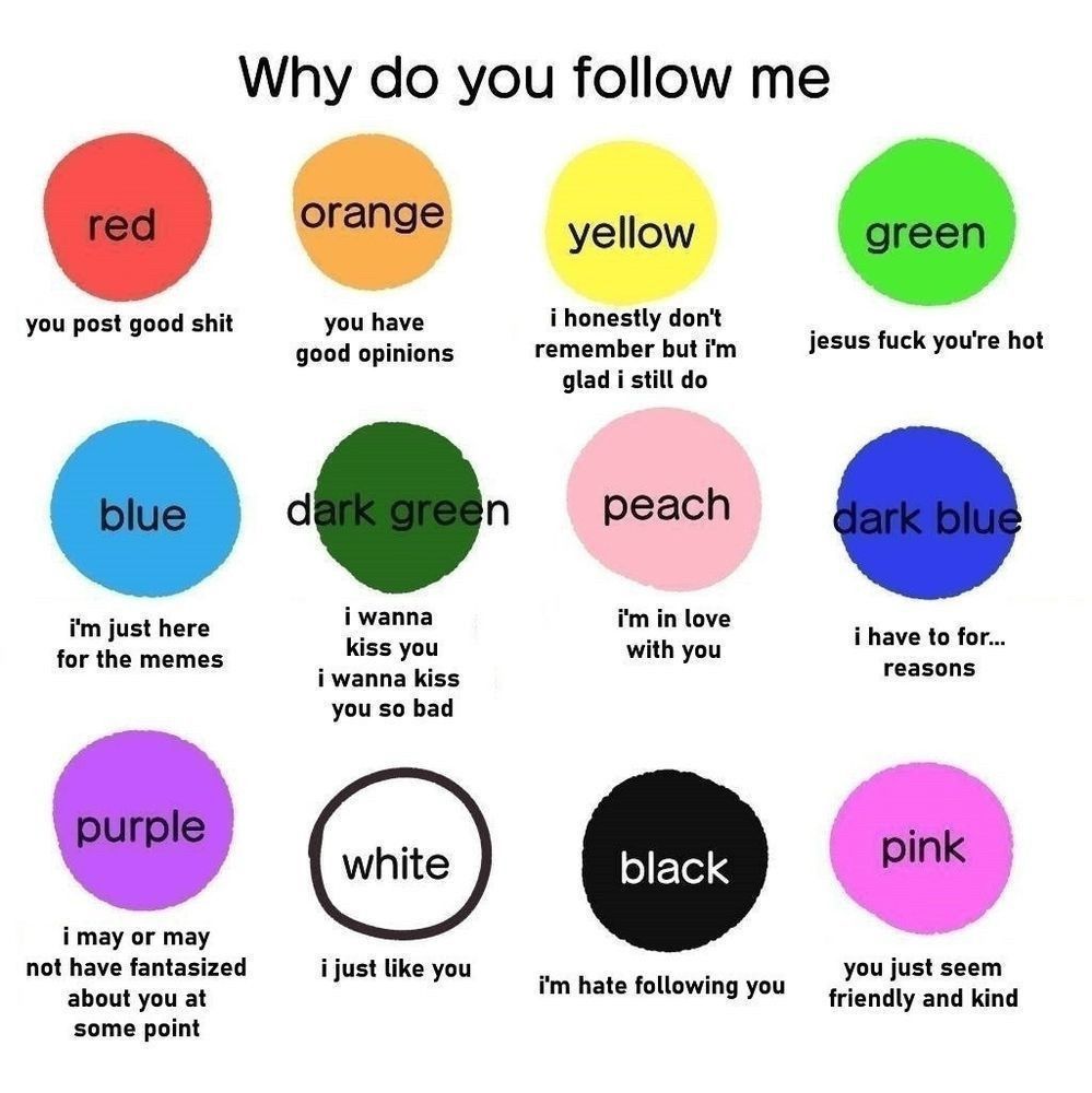 An illustration of labeled, colored circles with corresponding text/descriptions. 

Why do you follow me?
red: you post good shit
orange: you have good opinions
yellow: i honestly don't remember but i'm glad i still do
green: jesus, fuck you're hot
blue: i’m just here for the memes
dark green: i wanna kiss you, i wanna kiss you so bad
peach: i'm in love with you
dark blue: i have to for... reasons
purple: i may or may not have fantasized about you at some point
white: i just like you
black: i'm hate following you
pink: you just seem friendly and kind