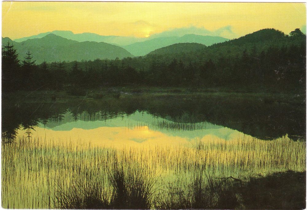 A colour postcard in landscape format. It shows a landscape across a small lake to a woodland and mountains beyond. It has been tinted yellow and green, the sun about to set. Sent By Sally & Peter to Pam in August 1988.