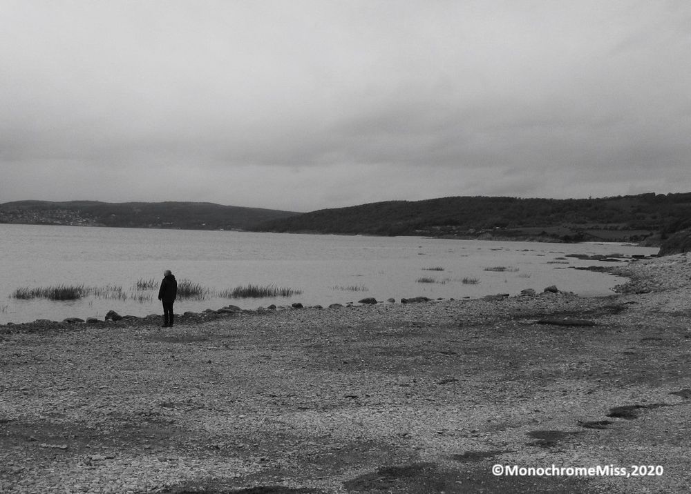 A black and white photograph in landscape format. It shows a part of a large bay, a rocky beach and a lone man standing looking out to sea. In the distance are the hills and mountains of the Lake District, still seen although it is cloudy.