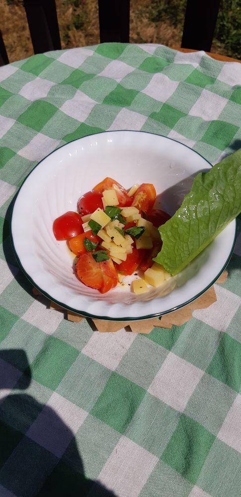 Garden tomatoes (stupice), emmental cheese, garden basil, salt,pepper, olive oil (And a leaf of garden lettuce)