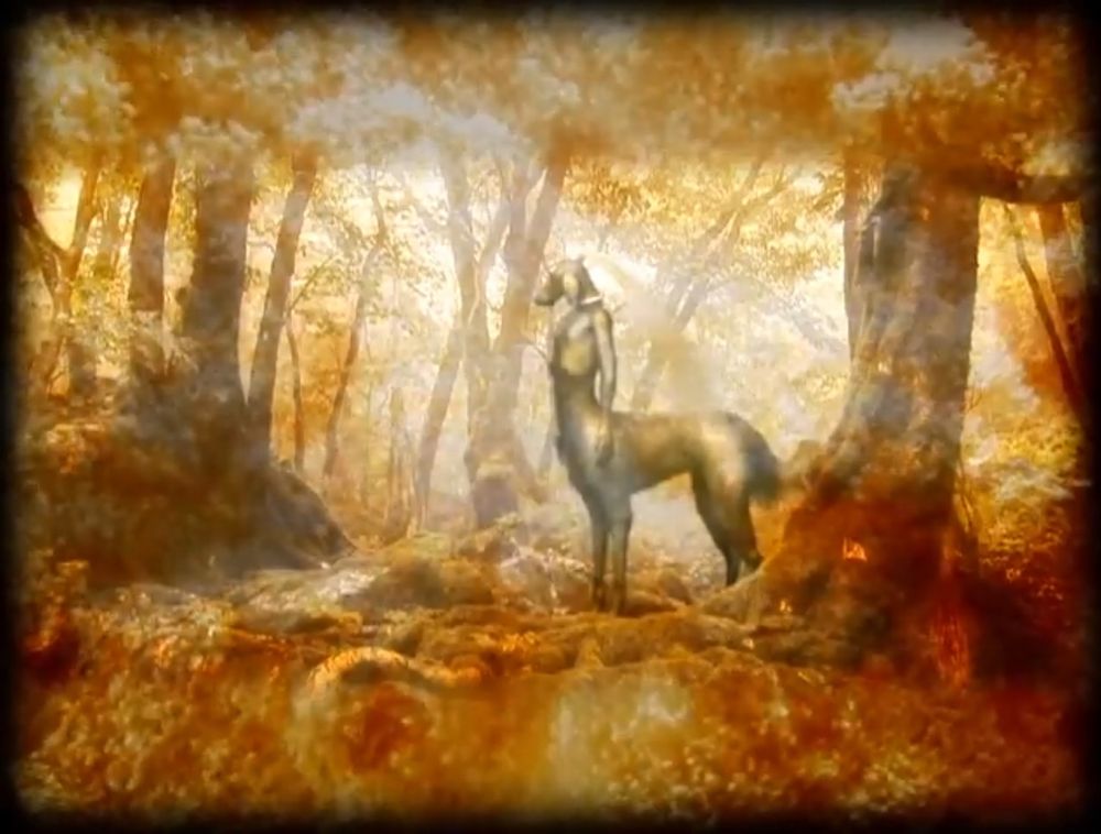 A dog centaur waking up in an orange tinted forest