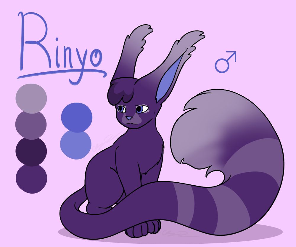 A digital drawing to reference for an OC. An alternate rendition of Rinyo, a squabbit oc.
Feline-adjacent anatomy with longer ears and tails.

He has blue eyes with a lighter shade on his paw pads, inner ears, and nose. This version has the same color of fur as Dahlia, without markings on his body or legs. He has a lighter gradient from the tips to the bases of his ears, some gradient on the tip of his tail, and three lighter stripes on his tail.
He has longer tufts on his ears than typical males, as well as a section of puffy fur on his head which bends over his forehead like bangs.

Text reads: "Rinyo" 
The symbol for Male is beside his head.