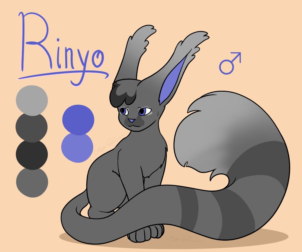 A digital drawing to reference for an OC. An alternate rendition of Rinyo, a squabbit oc.
Feline-adjacent anatomy with longer ears and tails.

He has blue eyes with a lighter shade on his paw pads, inner ears, and nose. This version has grey fur without markings on his body or legs. He has a lighter gradient from the tips to the bases of his ears, some gradient on the tip of his tail, and three darker stripes on his tail.
He has longer tufts on his ears than typical males, as well as a section of puffy fur on his head which bends over his forehead like bangs.

Text reads: "Rinyo" 
The symbol for Male is beside his head.