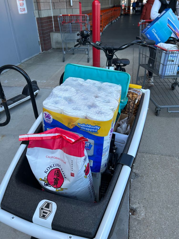 an urban arrow cargo bike parked outside a Costco. Inside there is a 25lb bag of Kokuho Rose rice, a 36 pack of toilet paper rolls, a giant box of diapers, a heavily pruned raspberry bush, and a big bag of other groceries 