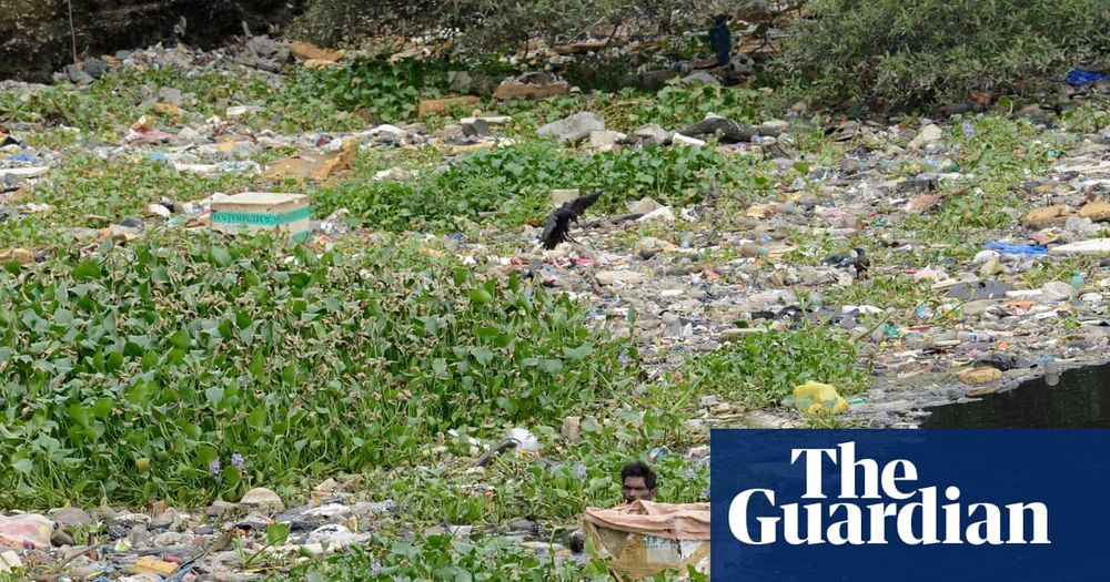 Plastic production has increased more than 200 times since 1950 and hits health at every stage from extraction to disposal, says review in the Lancet

Plastics are a “grave, growing and under-recognised danger” to human and planetary health, a new expert review has warned. The world is in a “plastics crisis”, it concluded, which is causing disease and death from infancy to old age and is responsible for at least $1.5tn (£1.1tn) a year in health-related damages.

The driver of the crisis is a huge acceleration of plastic production, which has increased by more than 200 times since 1950 and is set to almost triple again to more than a billion tonnes a year by 2060. While plastic has many important uses, the most rapid increase has been in the production of single-use plastics, such as drinks bottles and fast-food containers. Continue reading...