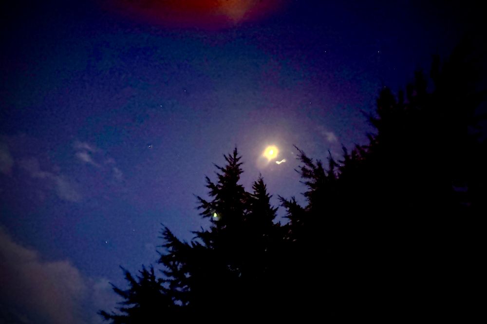 Just around sunrise, the sky is still lit by the moon and the stars, our sun is already colouring the gentle cloud cover in reds and pink.
All this against the black forefront of evergreens 