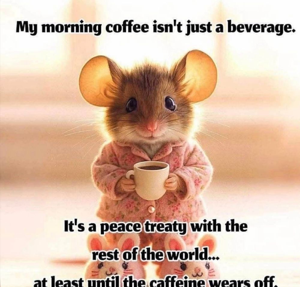 Mouse in oh’s holding a cup of coffee. Looking peaceful and cuddly.
Words say:
My morning coffee isn’t just a beverage.
It’s a peace treaty with the rest of the world…
At least until the caffeine wears off.
