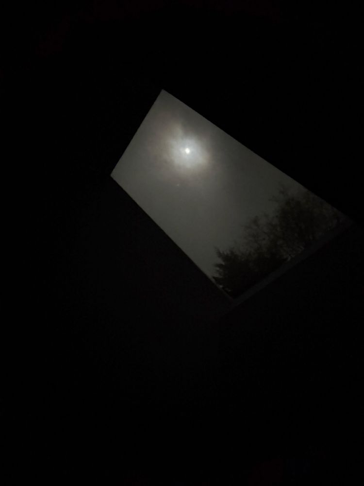 The moon is shining through a skylight some cedars in the background can be seen black against the dark grey of the night.
