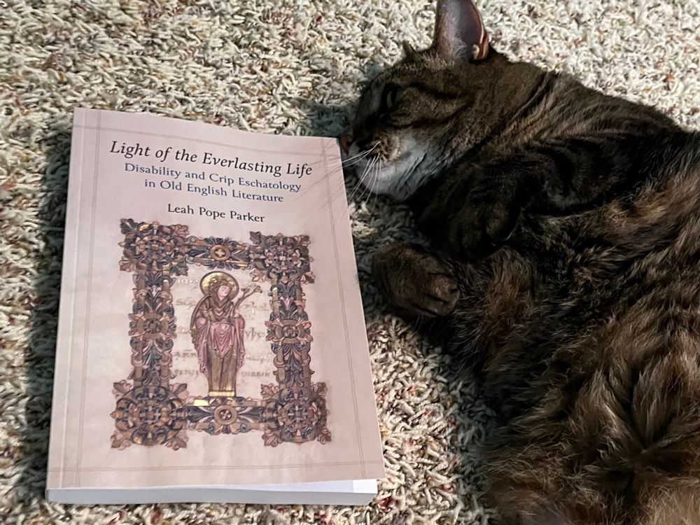 A brown tabby cat curls belly up on carpet next to a physical copy of Light of the Everlasting Life.