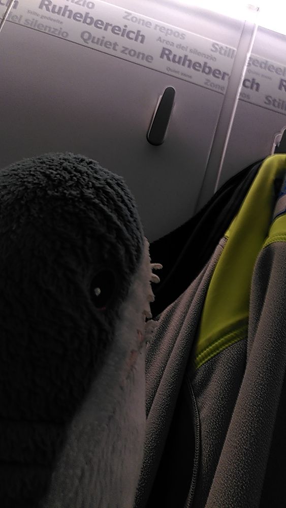 Ein Blåhaj schaut auf den "Ruhebereich" Streifen im ICE