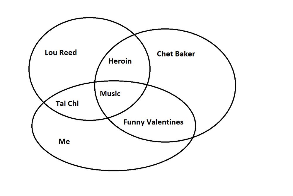 A 3 section Venn Diagram involving C me, A Lou Reed and B Chet Baker

The intersections are:

A I B I C Music
A I B Heroin
A I C Tai Chi
B I C Funny Valentines

I in this case means intersection, I don't know how to get an intersection symbol 