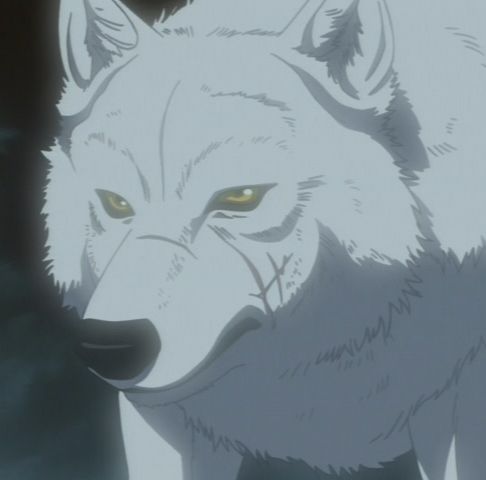 Kiba, the white wolf, from the Wolf's Rain anime (2004).