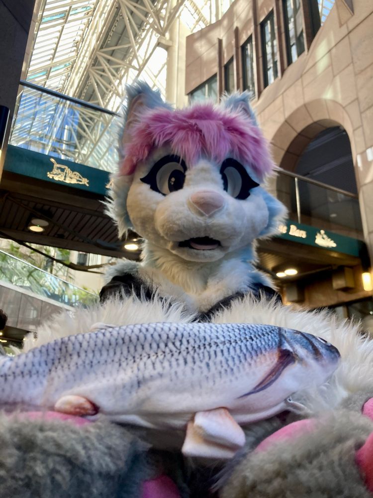 Blue cat fursuiter holding out a fish towards you