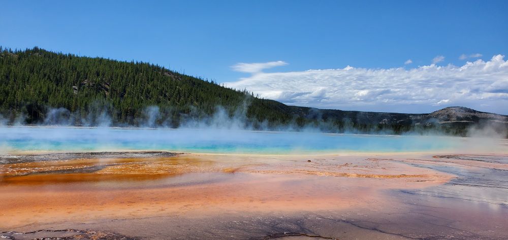 Steam rises straight up from Grand Prismatic Spring in Yellowstone National Park, WY. The spring stretches past the left and right edges of the photo. In the midground, the deeper part of the spring is a vibrant turquoise blue. Closer to the viewer, the shallower spring waters are orange swirled with brown. 
In the background a tree-covered hill rises; this is actually part of the wall of Yellowstone's caldera. In the far distance, a mass of clouds sits low on the horizon of a bright blue sky.