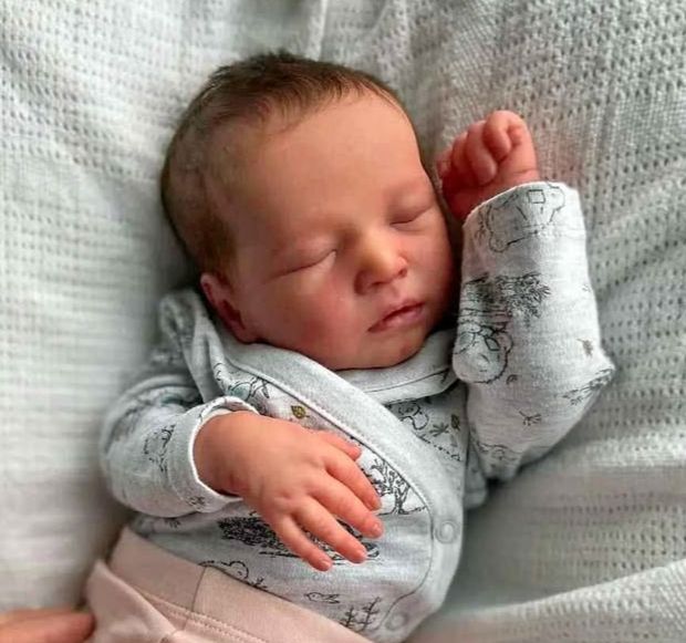 foto de um bebê reborn