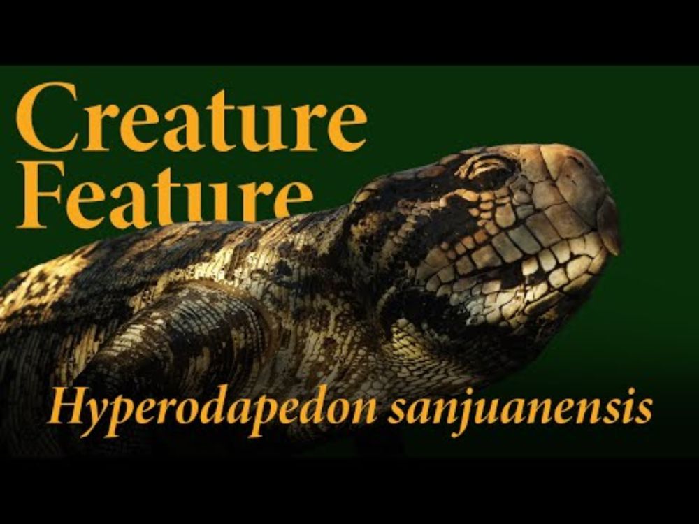 Creature Feature: Hyperodapedon sanjuanensis