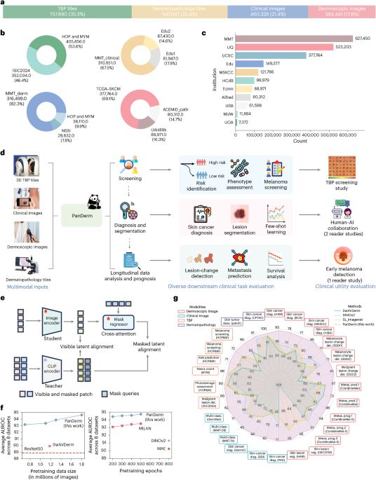 A multimodal vision foundation model for clinical dermatology - Nature Medicine