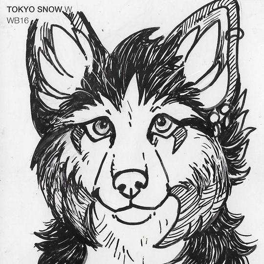 Posca paint marker drawing of a fox