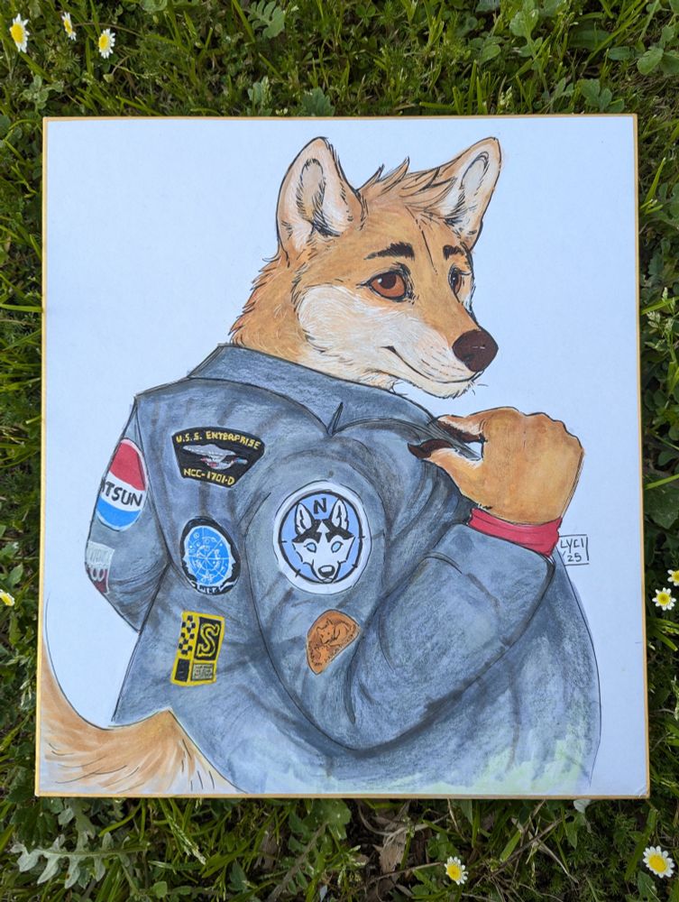 A traditional illustration of an anthro dingo wearing a denim jacket. He is putting on the jacket, showing off the patches on the back and arms of the garment.