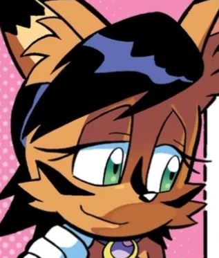 Nicole the Holo-Lynx in the Archie Sonic the Hedgehog comics.