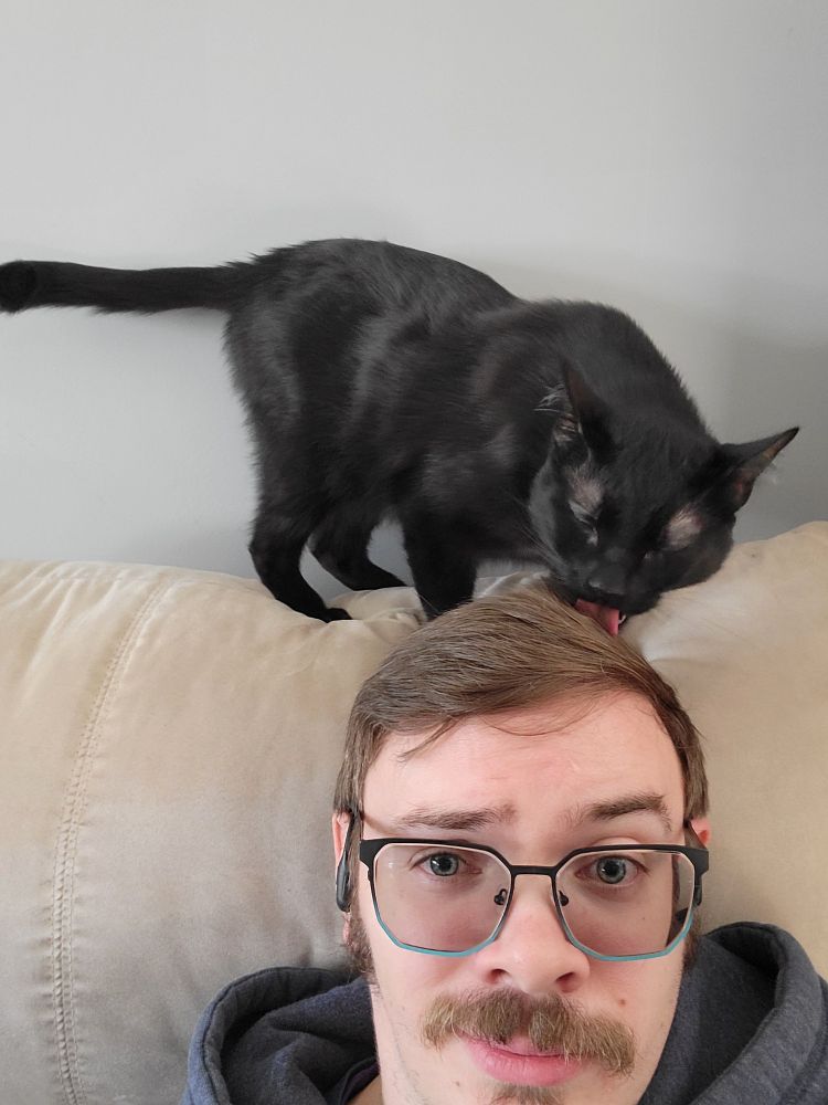 A black cat standing on the back of a chaise, licking the top of a man's head.