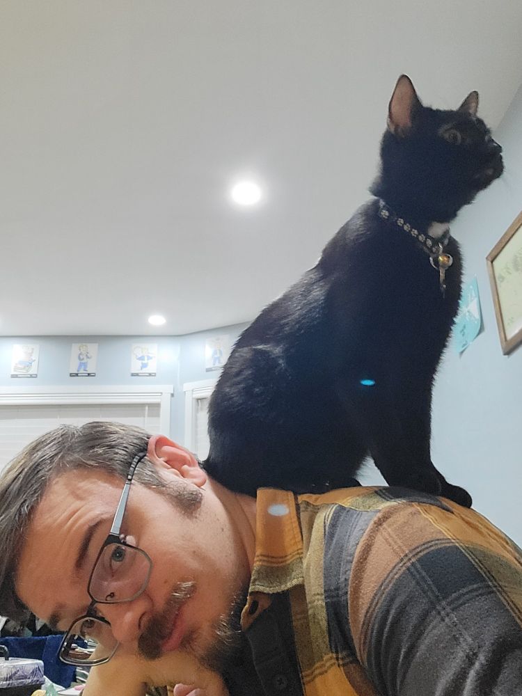 Black cat sitting on the back of a man's neck and shoulders. 