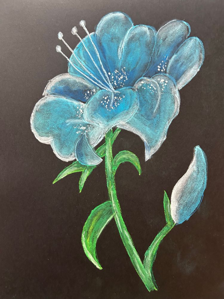 Eine Pastellzeichnung einer Blume mit blauen Blüten auf schwarzem Papier