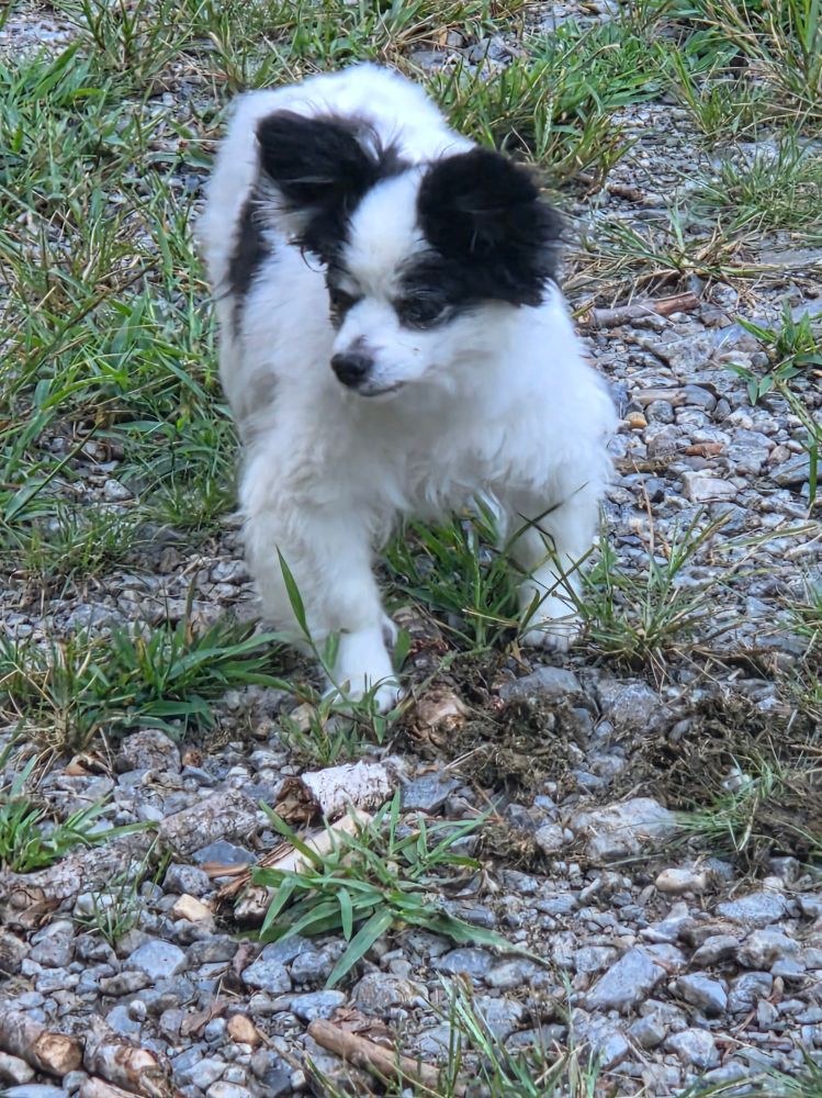 She'll be 17 in January.  