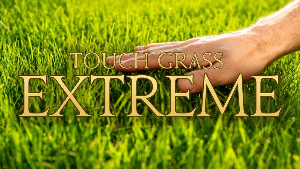 Touch Grass Extreme