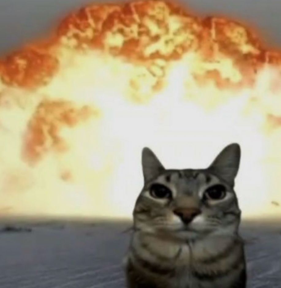 Meme of a cat in front of an explosion 