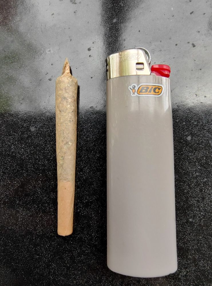 This is a cannabis joint next to a bic lighter for scale