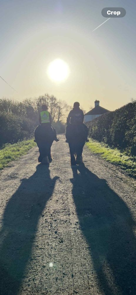 2 riders on horses (me riding Toby on the left, my mum riding Dougal on the right) walking away from the camera down a country lane on a bright sunny winter day