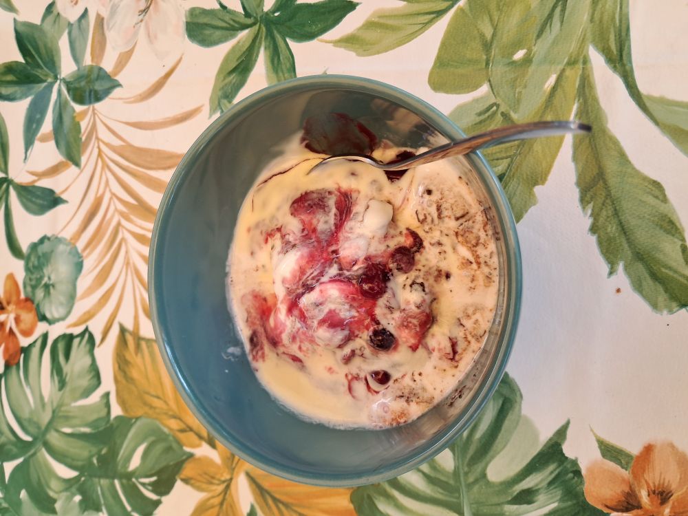 Schüssel mit gemisch aus Eis, roter Grütze und Vanillesauce 