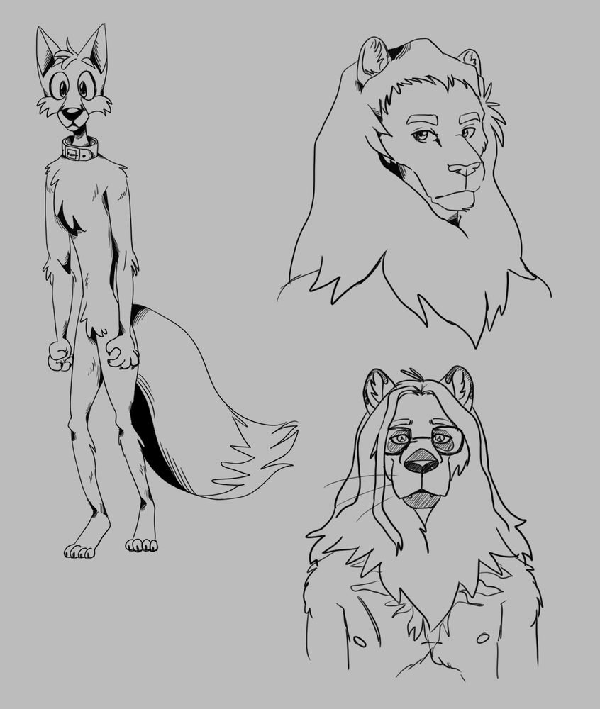 three furry sketches, a lanky fox, a lion, and a maned wolf/lion hybrid