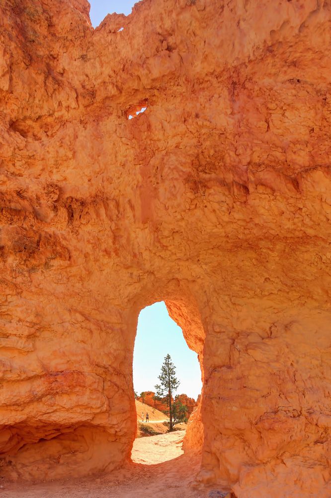 An opening between hoodoos reveal a tree, two hikers, and a clear sky