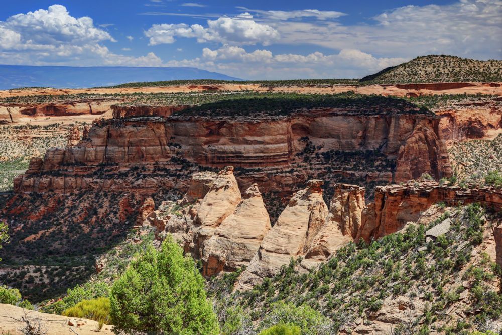 A sandstone canyon running left to right, the rock shapes covered with high desert scrub, under a partly cloudy sky
